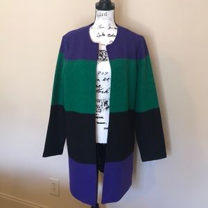 Max Studio Color Blocked Jacket